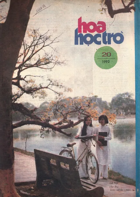 Số 20
