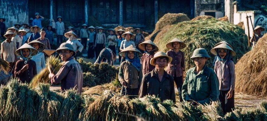 Thương Mái Trường Xưa